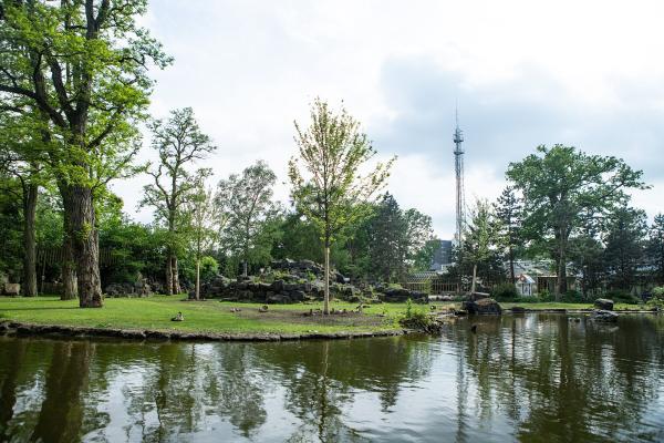 Rensenpark