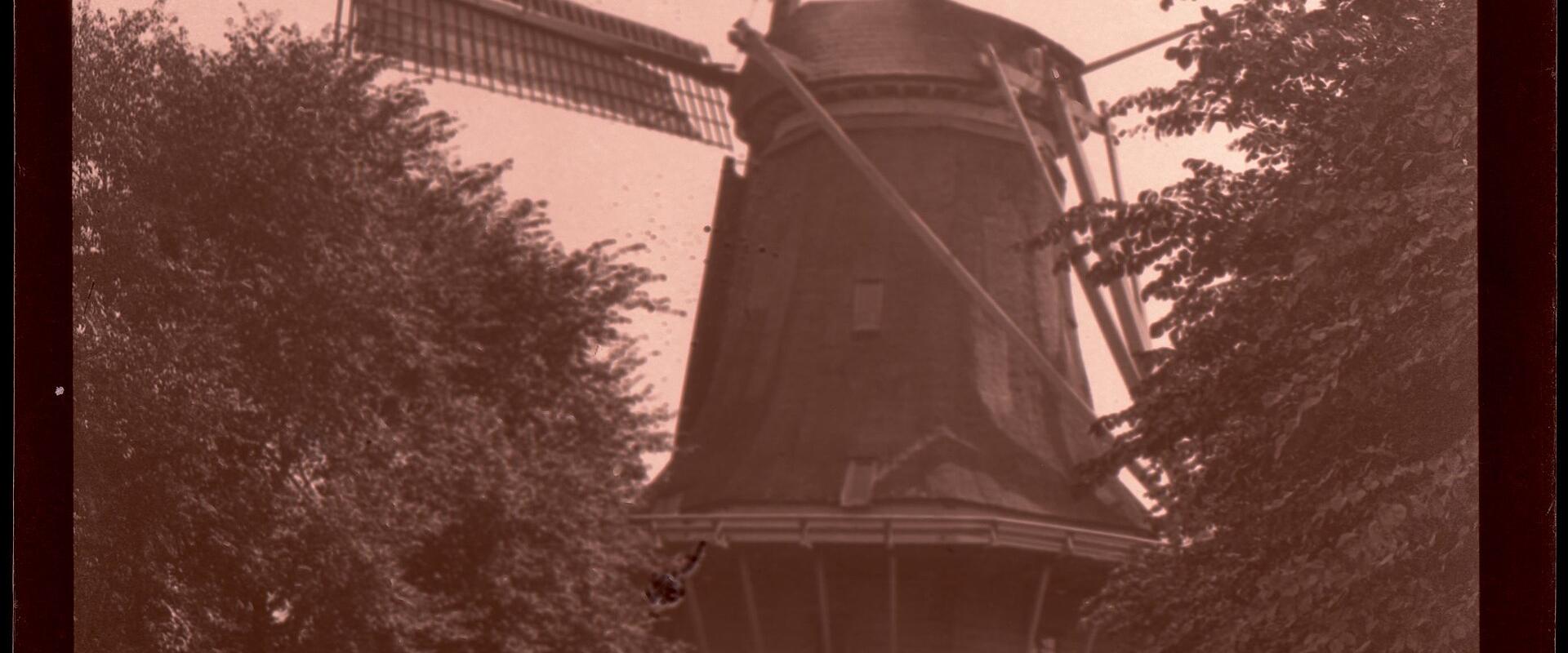 Zaanse Schans Windmill Tours