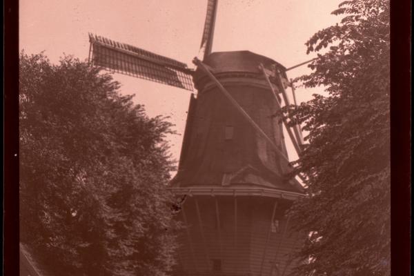 Zaanse Schans Windmill Tours