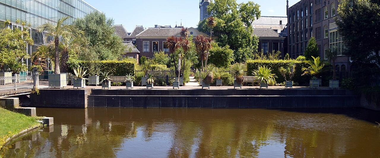 The Hortus botanicus in Leiden