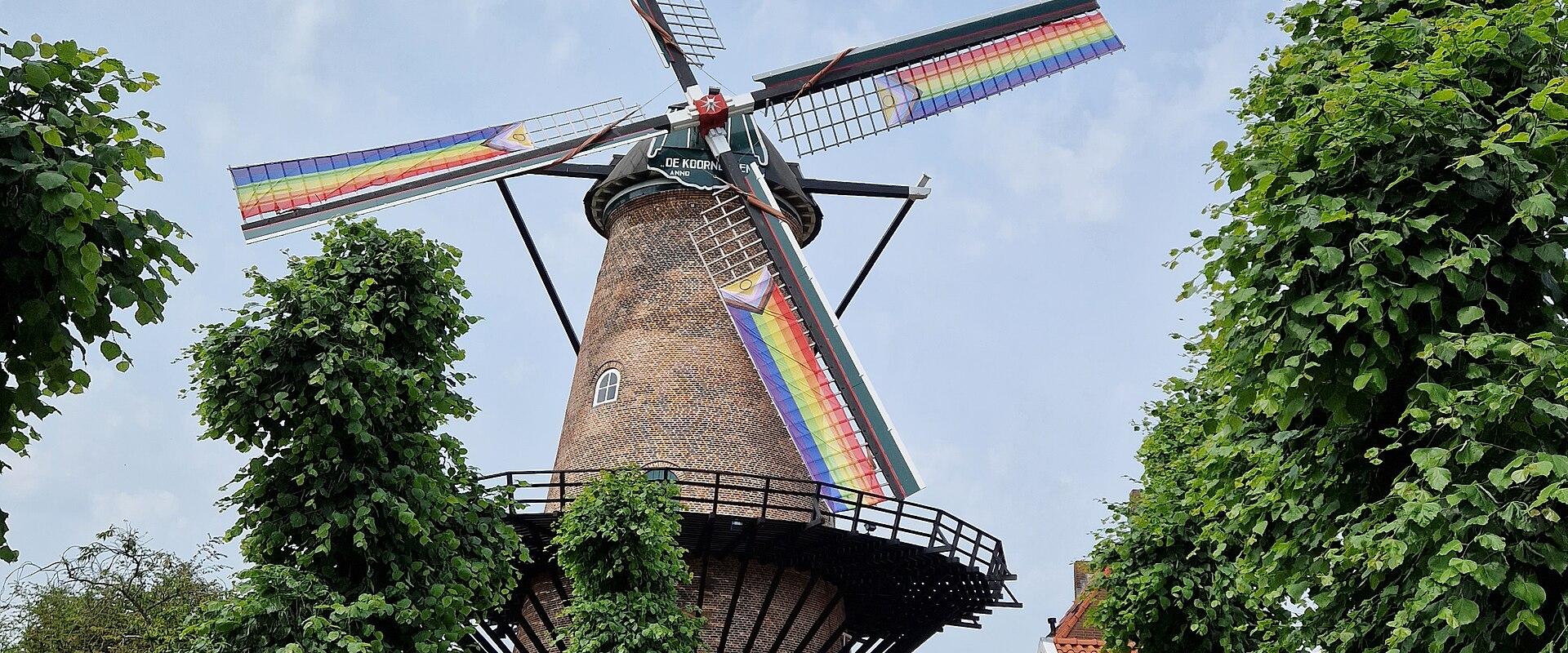 Molen De Koornbloem in Goes at the end of a cobbled lane
