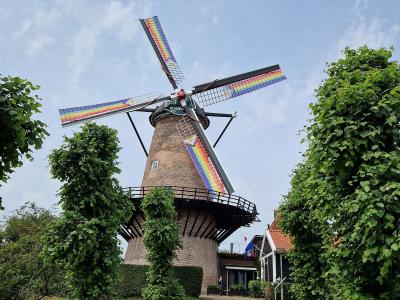 Molen De Koornbloem in Goes at the end of a cobbled lane