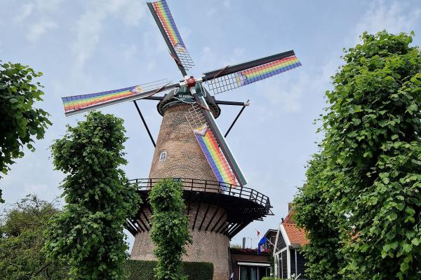 Molen De Koornbloem