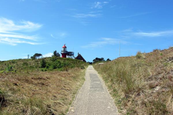 Dune Landscape (Duinreservaat)