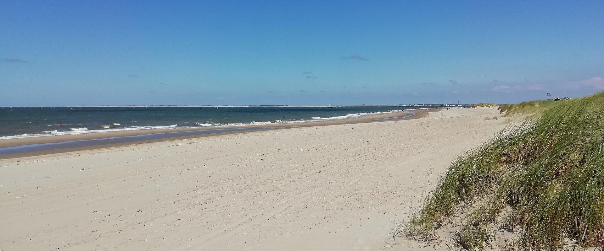 A wide, sandy beach with dune grass in the foreground, the sea, and a distant horizon.