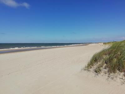 A wide, sandy beach with dune grass in the foreground, the sea, and a distant horizon.