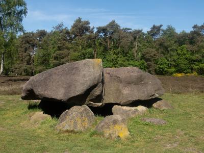 A large prehistoric dolmen (hunebed) consisting of massive capstones resting on upright supporting stones, situated in a grassy clearing with a forest background.