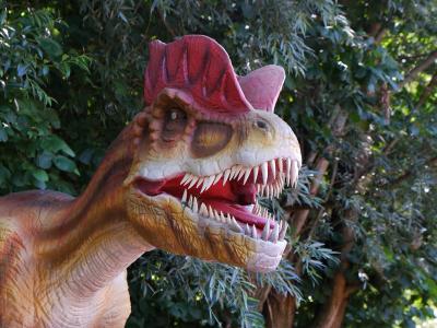 Dinosaur model at Dinoland Zwolle