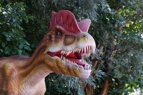 Dinoland