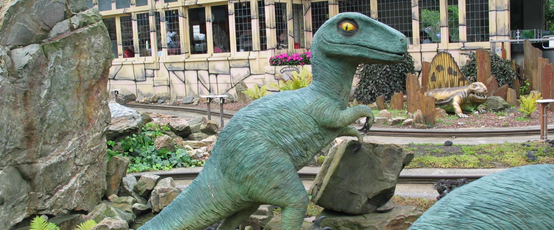 Solo Adventure at Apenheul Zoo