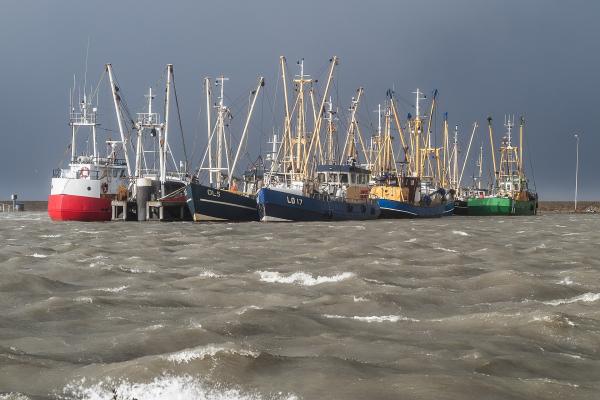 Fishing port