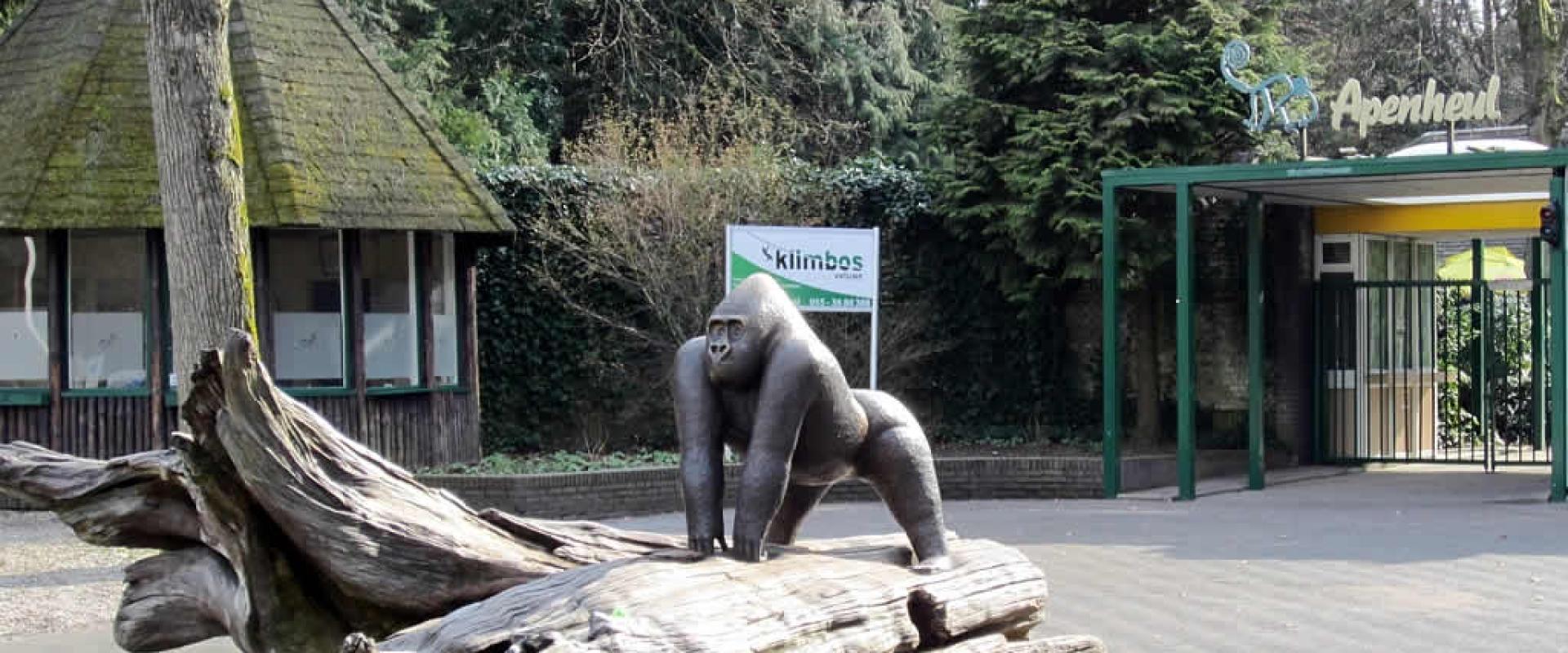 The entrance of Apenheul in Apeldoorn with its gorilla sculpture