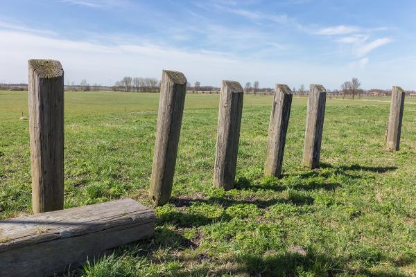 Dwelling mounds