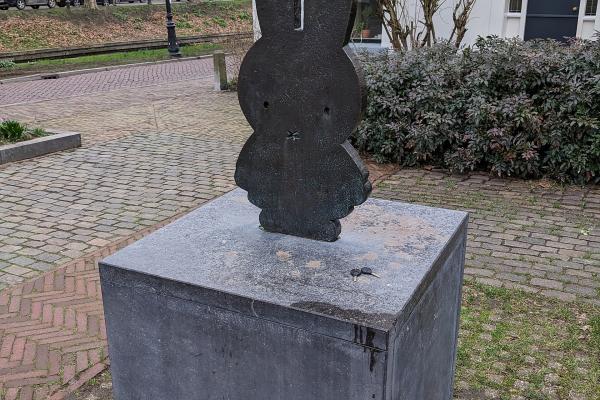 Nijntje Pleintje