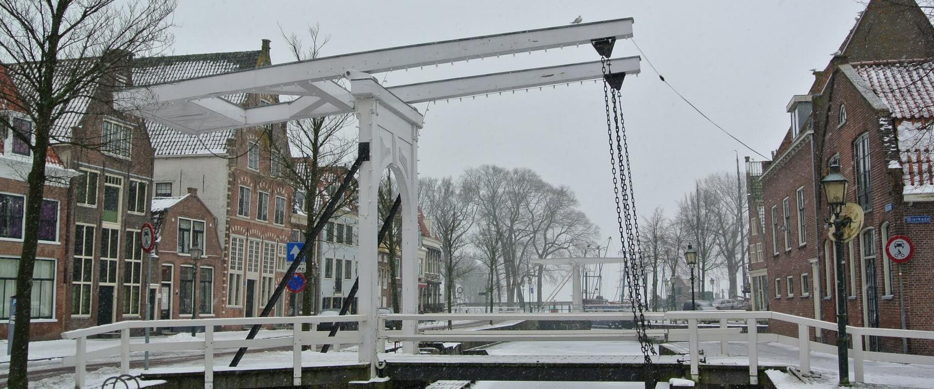 Hoorn